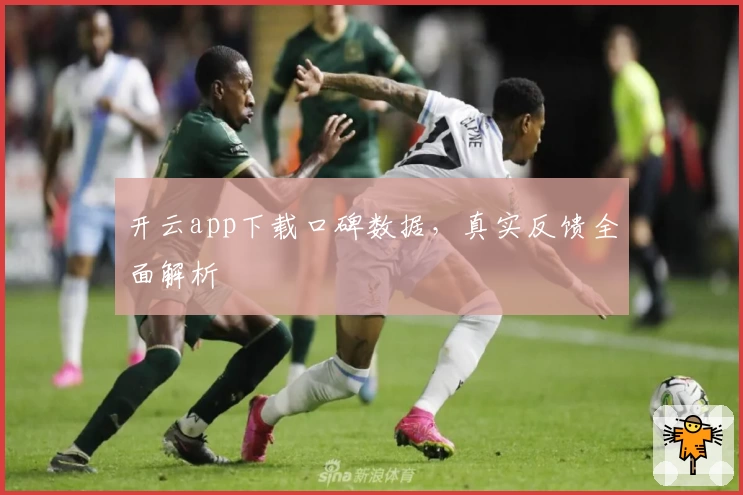 开云app下载口碑数据，真实反馈全面解析